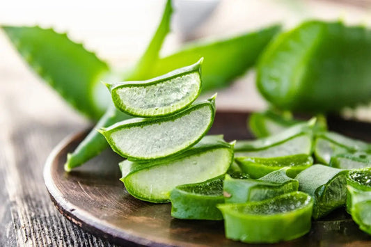 6 fantastici benefici dell'Aloe Vera per capelli, pelle e dimagrimento - Prodotti Herbalife Online