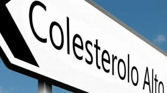 Colesterolo alto nel sangue - Prodotti Herbalife Online