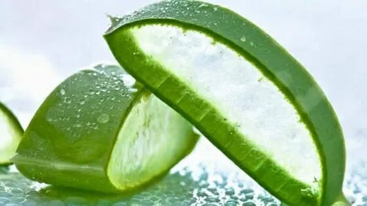 Potere curativo dell'Aloe Vera: la linfa che fa bene alla salute! - Prodotti Herbalife Online