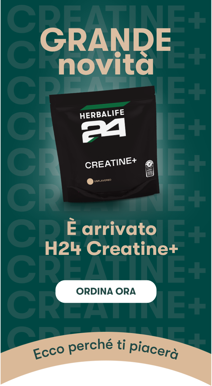 H24 Creatine+