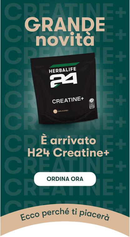 H24 Creatine+