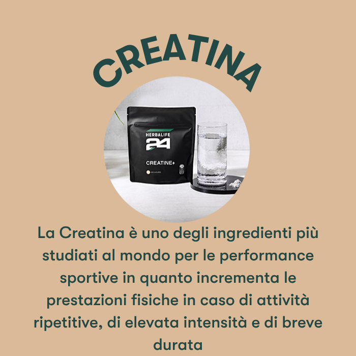 H24 Creatine+