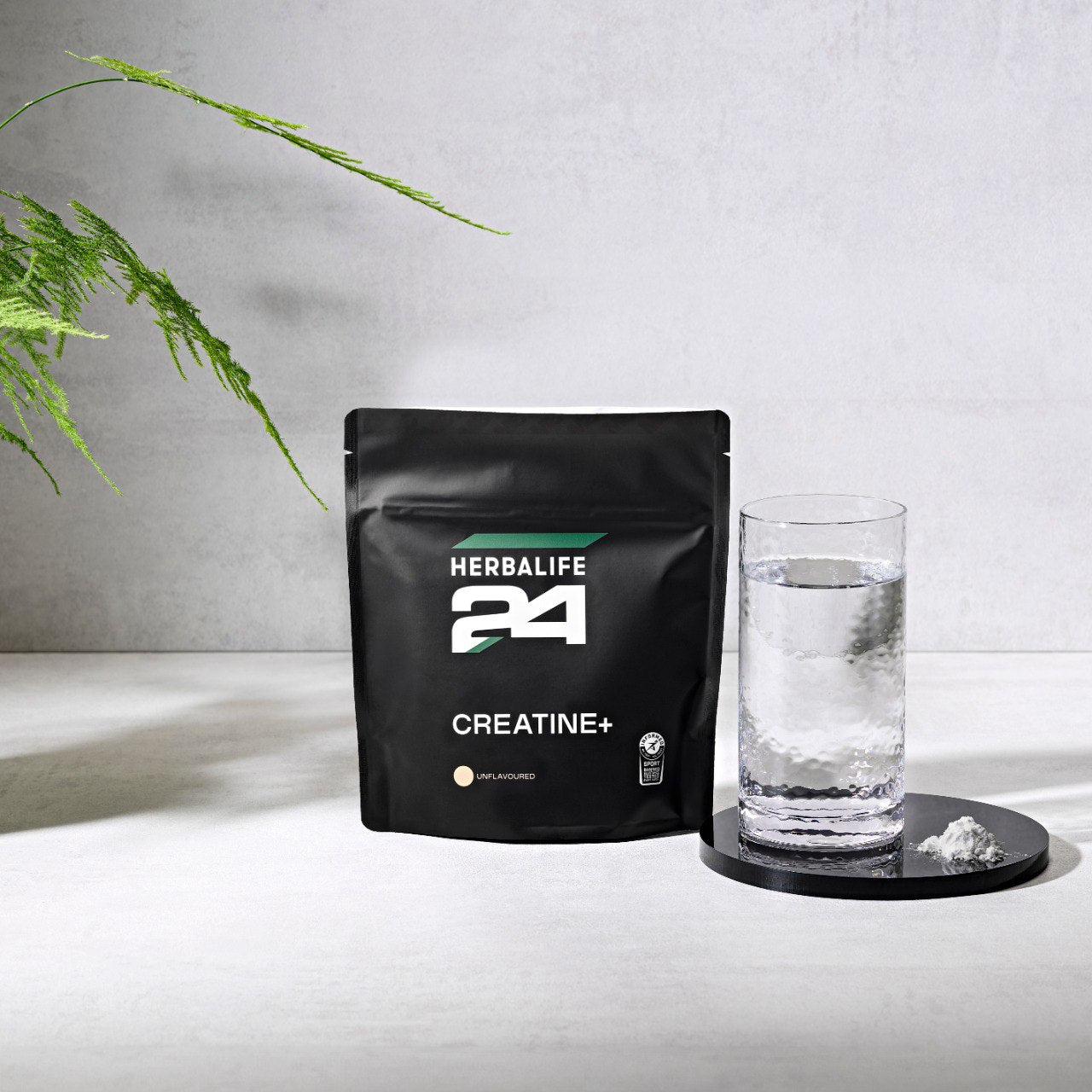 H24 Creatine+